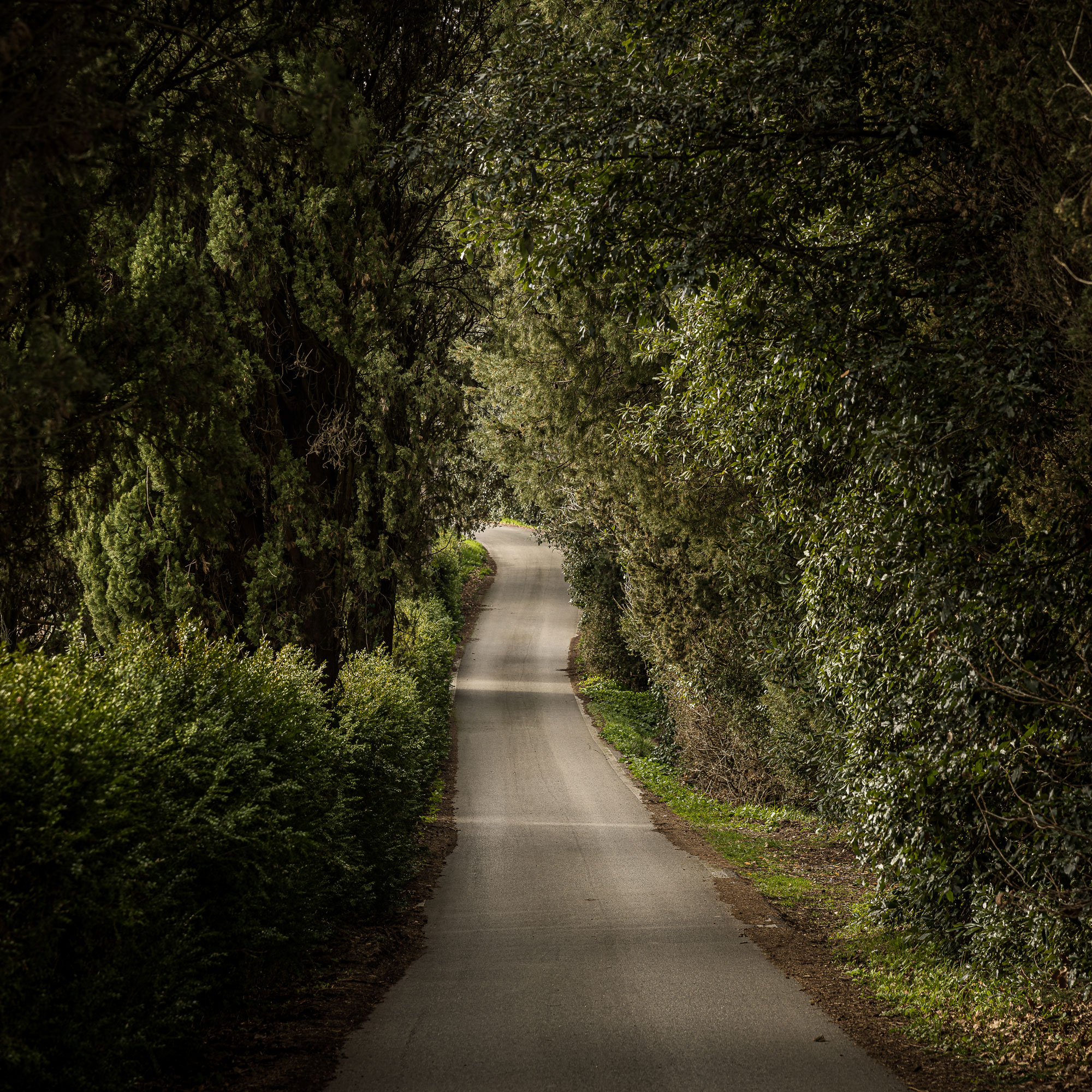 Photography, road, path, chemin, Art direction, direction artistique, branding for Forci, Lucca, Tuscany, Italy
